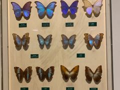 -陕西自然博物馆