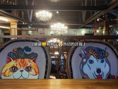 -more than meow吴止猫主题餐厅(承德 中船汇店)