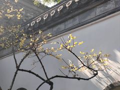 -个园