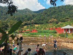 -广州市石门国家森林公园