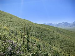 -新疆那拉提国家旅游度假区