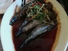 -七仙岭君澜度假酒店·桃源小馆中餐厅