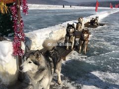 -长白山万达喜来登度假酒店