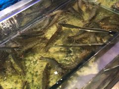 -V-ONE西雅图海鲜自助餐厅(仓山万达广场店)