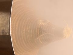 -咕嘟草帽鱼·牛奶一样的鲜鱼汤(包河万达广场创始店)