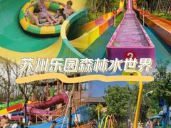 -苏州乐园森林水世界