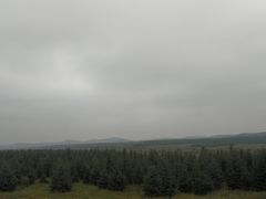 -塞罕坝国家级自然保护区