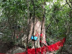 -七仙岭温泉国家森林公园