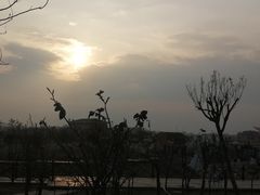 -空港花田景区