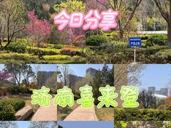 -济南喜来登酒店