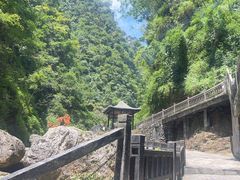 -三峡人家风景区
