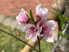 -福州大学(旗山校区)