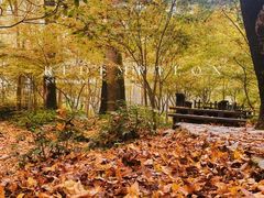 -西湖风景区十里琅珰-五云山