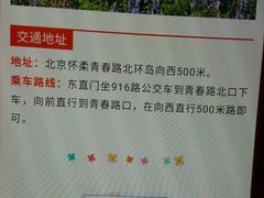 -北京东方普罗旺斯薰衣草庄园