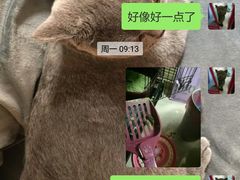 -瑞派先诺宠物医院•猫专科•普外科•中兽医(佛山院)