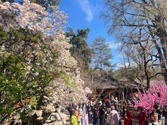 -潭柘寺景区