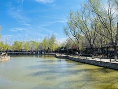-杨柳青庄园