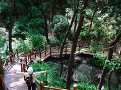 -大岭沟猕猴桃谷风景区