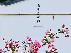 -莫愁湖公园