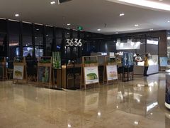 -36抹茶·千层与鲜果茶(欢乐海岸店)