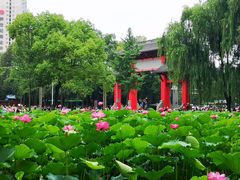 -四川大学(望江校区)