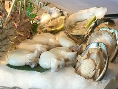 大连鲍鱼10头-最品火锅