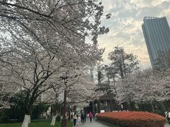 -堤角公园