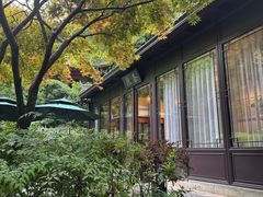-十八棵（老龙井）御茶园(老龙井店)