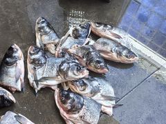 -岳各庄批发市场(西四环中路店)