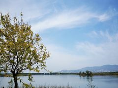 -野鸭湖国家湿地公园