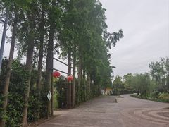 -前小桔亲子创意农场·草莓采摘·露营烧烤
