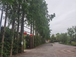 -前小桔亲子创意农场·草莓采摘·露营烧烤