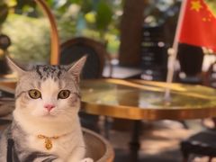 -The place那儿(新城国际店)