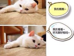 -星巴克(汤臣国贸大厦店)