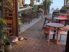 -城墙外BAR
