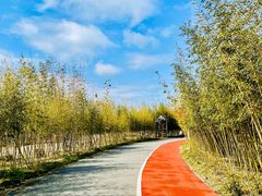 -上海长兴岛郊野公园