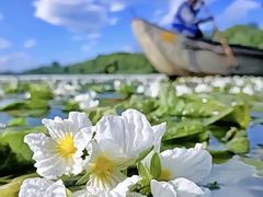 -丽江泸沽湖景区