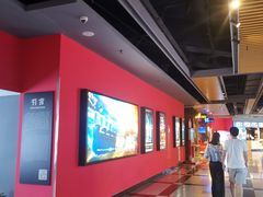 -万达影城(锦华万达广场IMAX店)