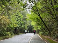 -惠山国家森林公园