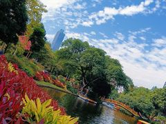 -晓港公园