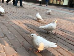 -王府井奥莱临潼小镇(临潼店)