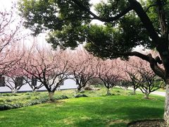 景点-荆川公园