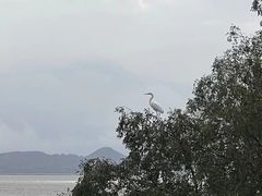 -深圳湾公园(南山区)