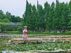 -白鹭湾湿地公园