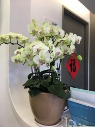 -联合丽格·张菡丽格医疗美容
