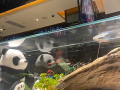 -红辣椒·川菜·火锅(大洋中心店)