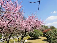 -白塘生态植物园