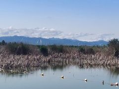 -野鸭湖国家湿地公园