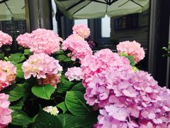 -G+KITCHEN(龙湖狮山天街店)