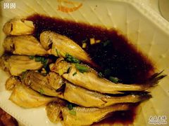 小黄鱼-沈家门海鲜夜排档(东港店)